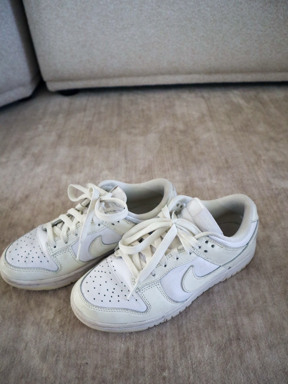Nike Dunks